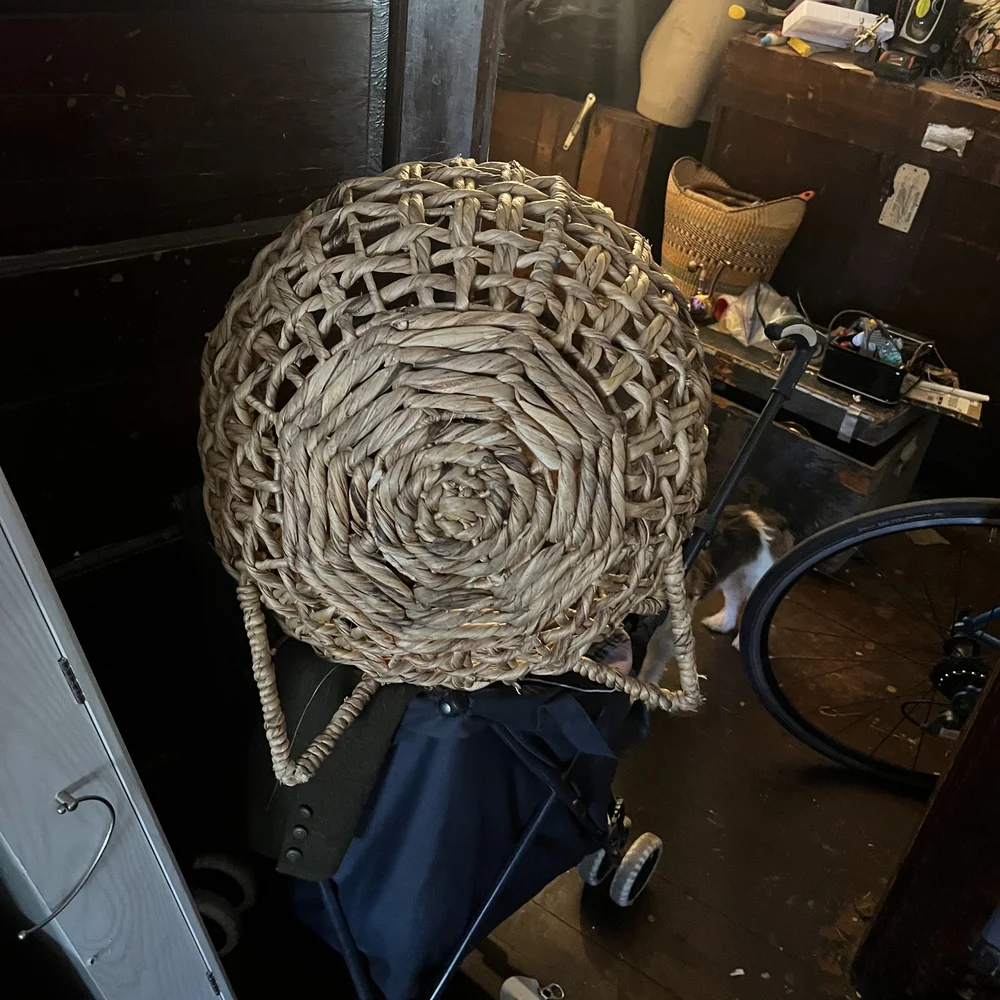 Woven Straw Basket Cat Bed